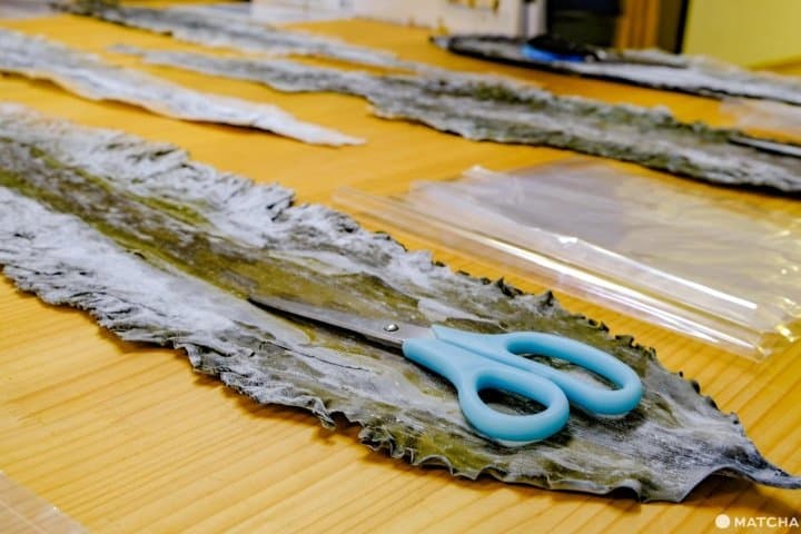 北海道・道東「知床羅臼Lincle」,體驗剪昆布及手沖昆布高湯