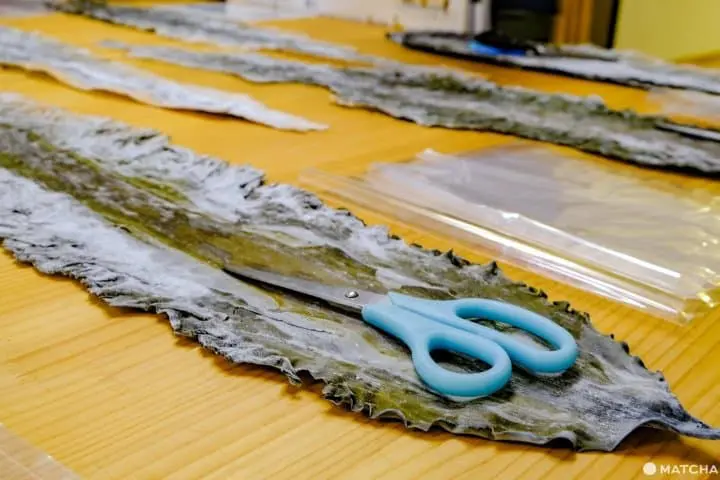 北海道・道東「知床羅臼Lincle」，體驗剪昆布及手沖昆布高湯