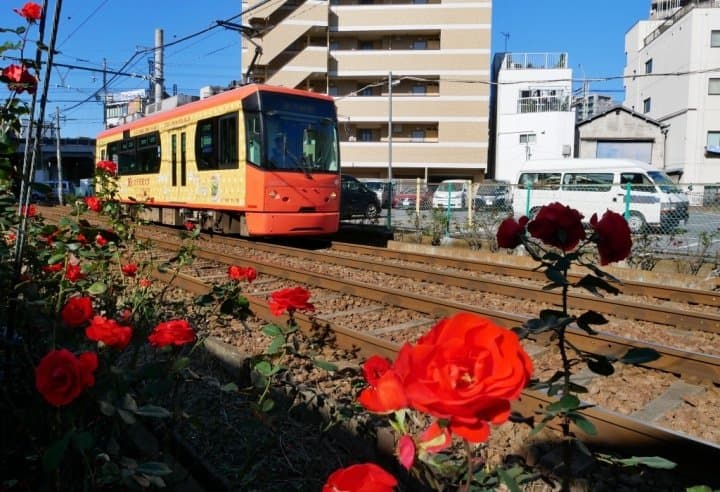 GT玫瑰荒川線