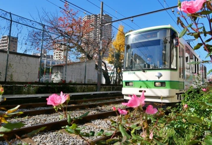 GT玫瑰荒川線