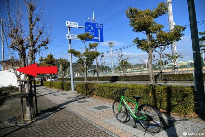 父母ヶ浜のサイクリング
