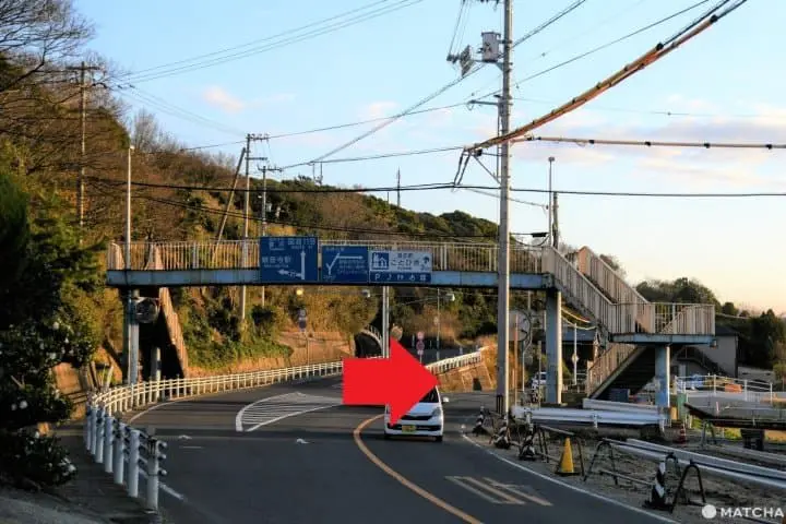 父母ヶ浜のサイクリング