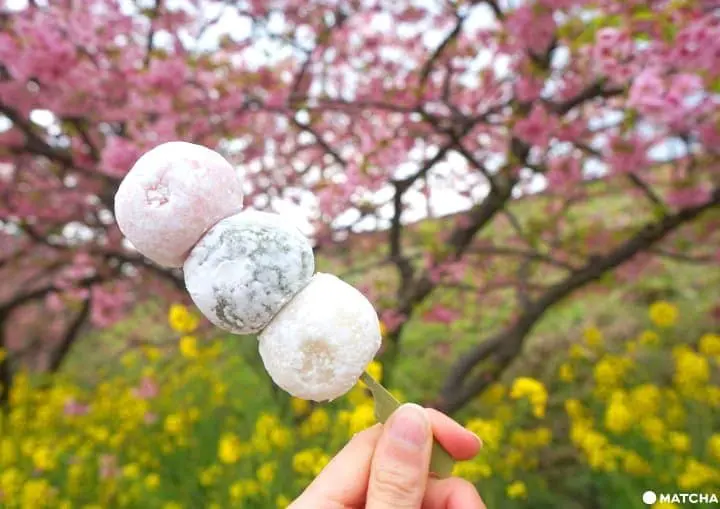 河津桜まつり――早咲きの桜を満喫しよう