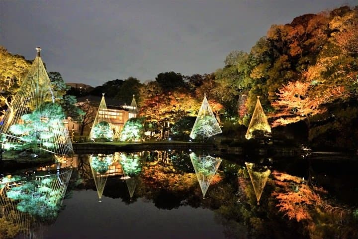 Dreamlike! Tour Tokyo's Fall Foliage Spots With The Toei One-Day Pass