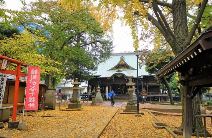 Visitez les parcelles du feuillage d'automne de Tokyo avec le pass journalier One Toei
