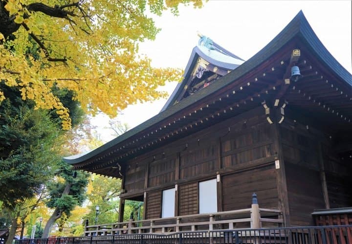 Visitez les parcelles du feuillage d'automne de Tokyo avec le pass journalier One Toei