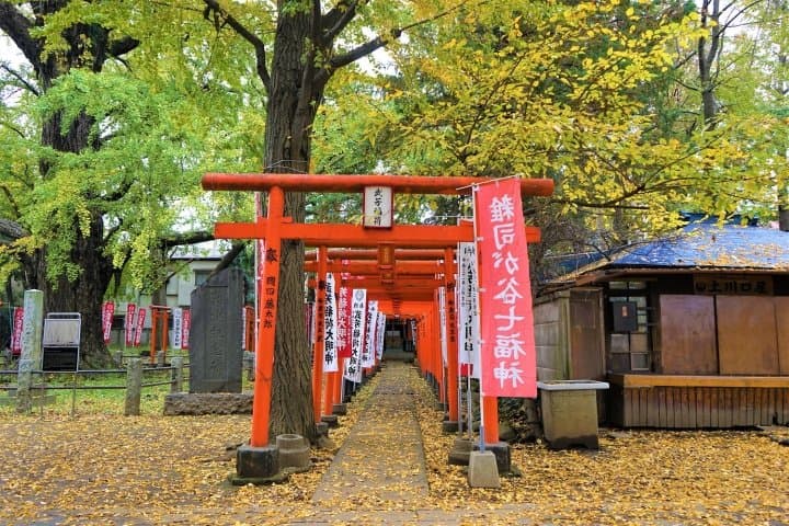Visitez les parcelles du feuillage d'automne de Tokyo avec le pass journalier One Toei