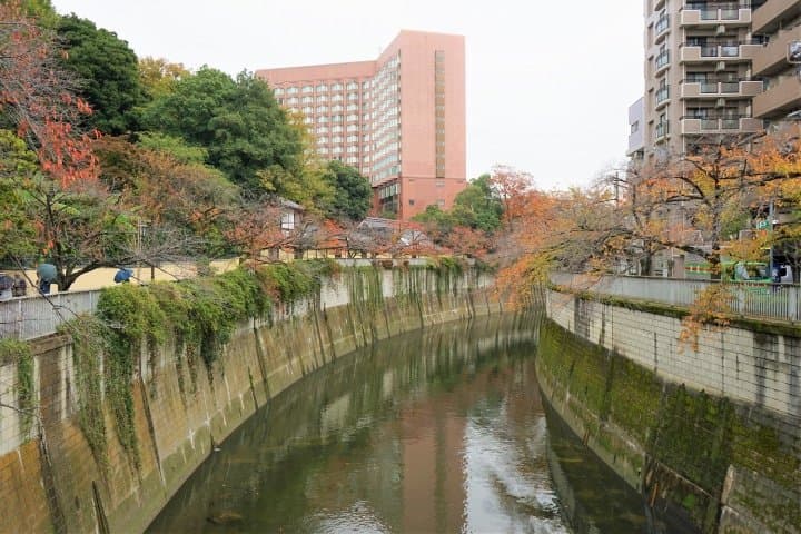 Visitez les parcelles du feuillage d'automne de Tokyo avec le pass journalier One Toei