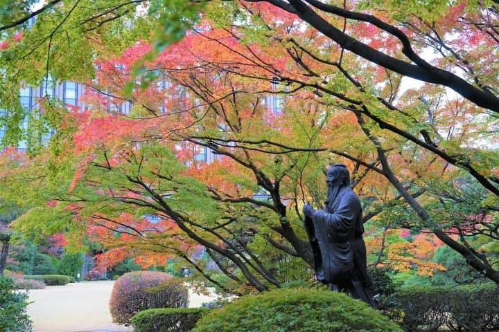 Visitez les parcelles du feuillage d'automne de Tokyo avec le pass journalier One Toei