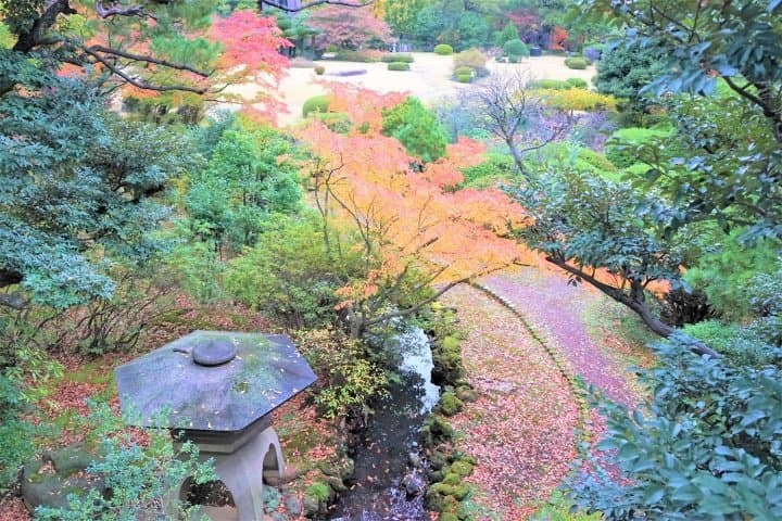 Visitez les parcelles du feuillage d'automne de Tokyo avec le pass journalier One Toei