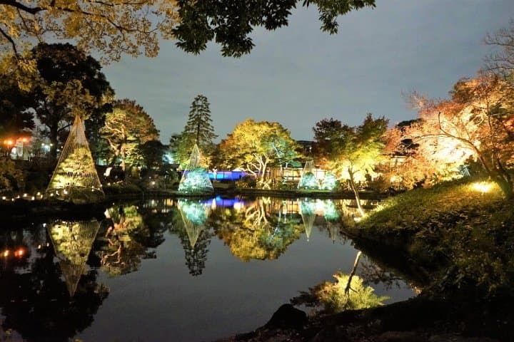 Visitez les parcelles du feuillage d'automne de Tokyo avec le pass journalier One Toei