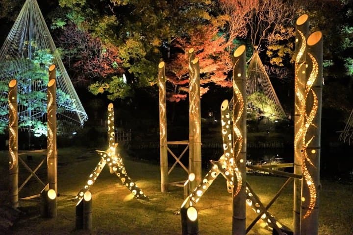 Visitez les parcelles du feuillage d'automne de Tokyo avec le pass journalier One Toei