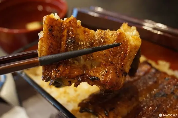 鰻魚藤田_うなぎ藤田