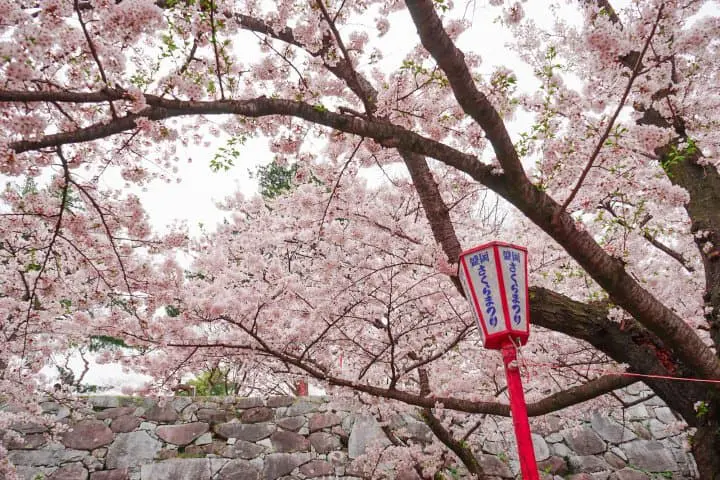 岩手盛岡自由行自駕遊_盛岡城跡公園