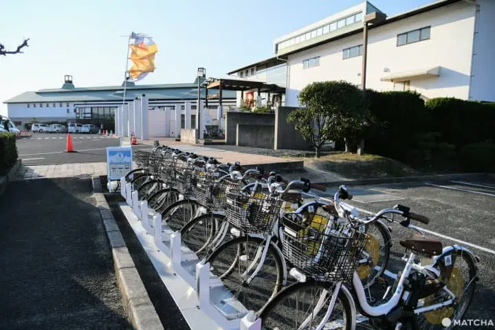 父母ヶ浜のサイクリング