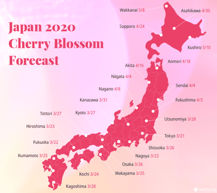 sakura forecast japan 2020