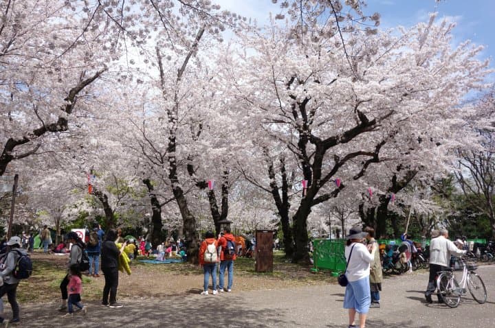 asukayama park