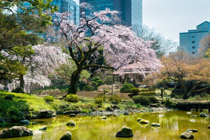 koishikawa korakuen