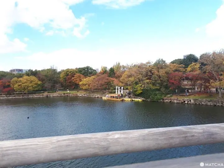 Tips Wisata Osaka Bersama Keluarga