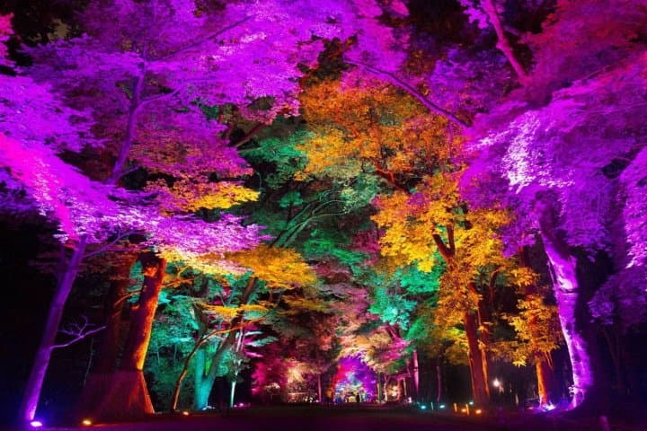 香川teamLab栗林公園光之祭
