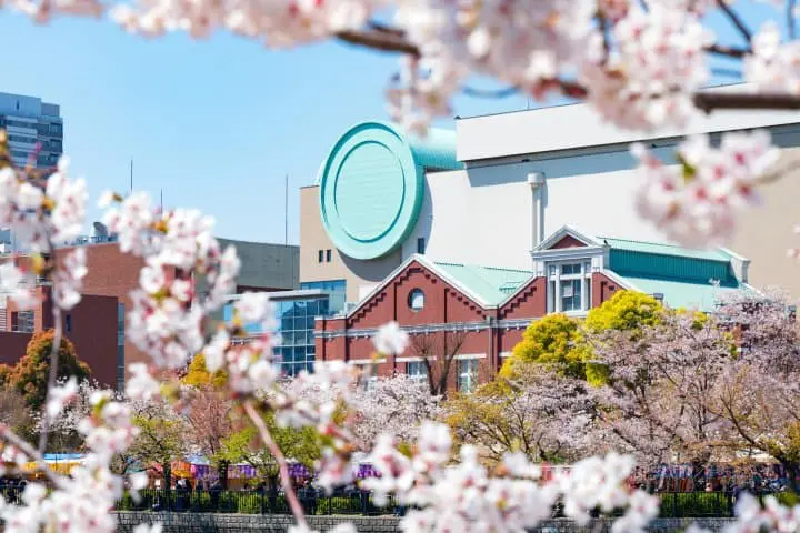 【2020大阪賞櫻】關西賞櫻名所，百樣品種櫻花齊放「大阪造幣局」