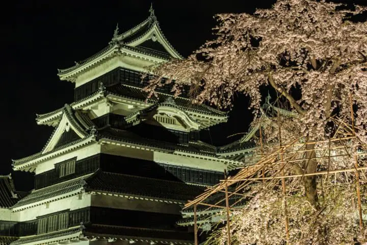 【2020長野賞櫻】國寶「松本城」賞櫻漫步城下町