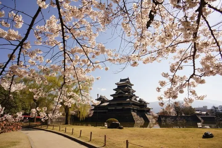 【2020長野賞櫻】國寶「松本城」賞櫻漫步城下町