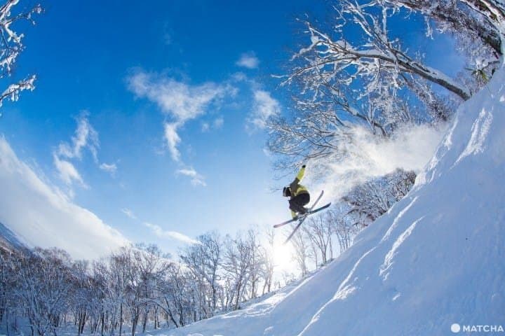 【北海道】就是想滑雪!滑雪勝地『新雪谷』景點與交通攻略