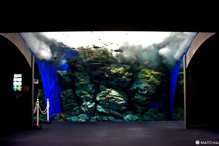 福岡的全家出遊必去景點 留下難忘回憶的遊樂設施3選 Matcha 日本線上旅遊觀光雜誌