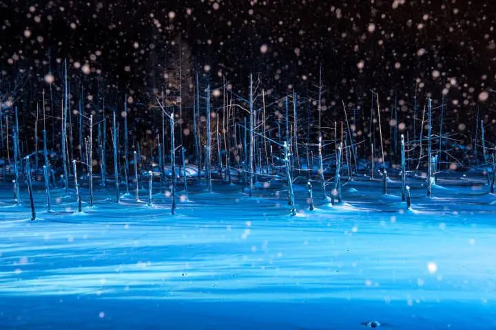 日本雪地自駕遊租車_注意事項_清池