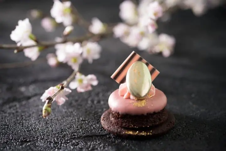 Sakura Desserts in and around Tokyo