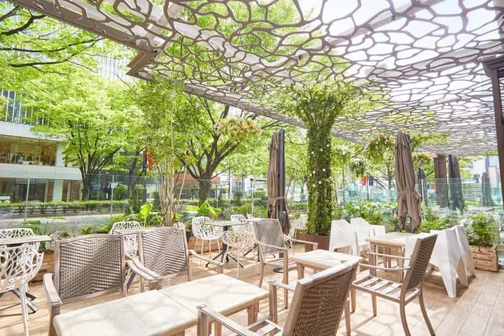 Sakura Desserts in and around Tokyo