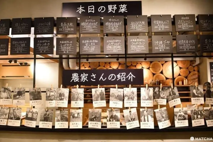 日本涮涮鍋_澀谷火鍋_しゃぶしゃぶれたす