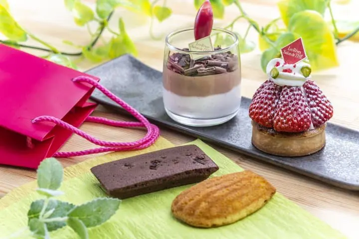 Sightseeing Train Guide: Kanto Region