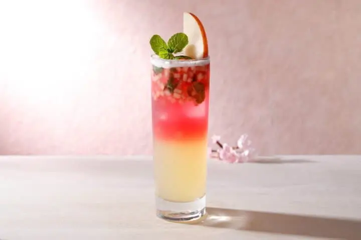 2020東京中目黑星巴克限定品