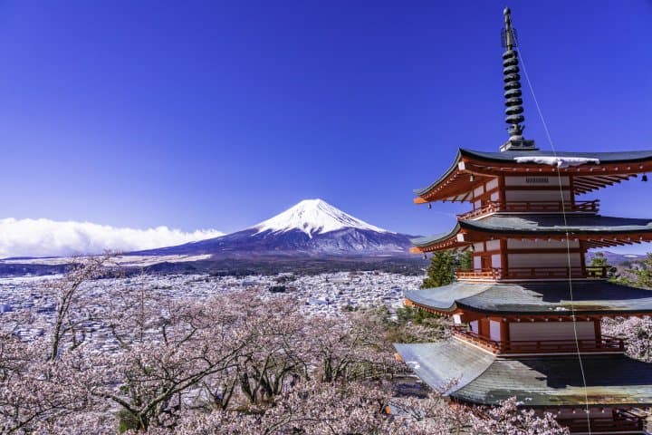 Celebrate Cherry Blossom Season! 7 Picture-Perfect Sakura Spots In Japan