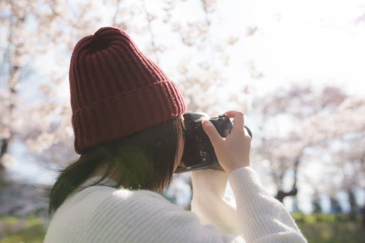 Celebrate Cherry Blossom Season! 7 Picture-Perfect Sakura Spots In Japan