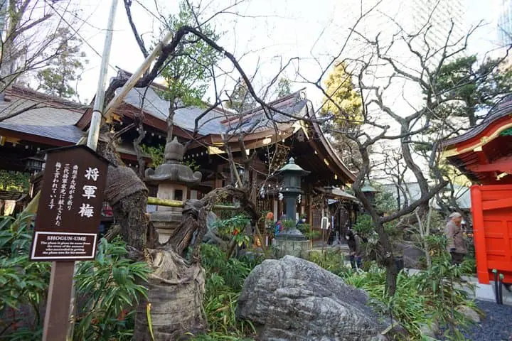 Skyliner & Tokyo Subway Ticket ตั๋วเซ็ตคู่สุดประหยัด เที่ยวรอบโตเกียวและเดินทางไปกลับสนามบินนาริตะ