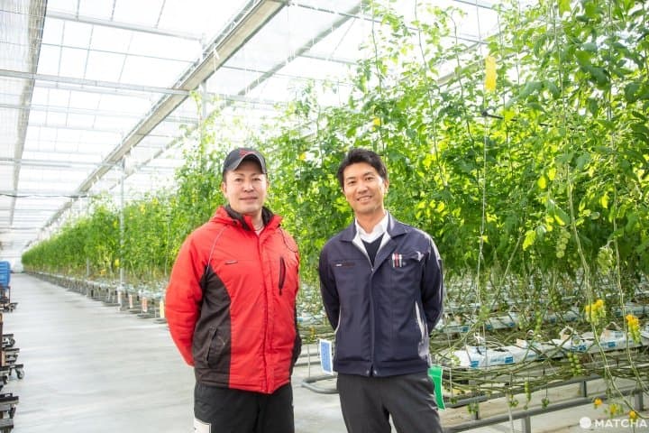 甘くて濃い!究極の自然農法で作られる「福島野菜」を食べに行こう