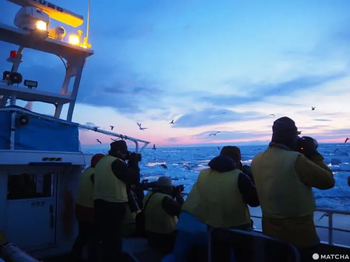 【北海道 羅臼】老鷹、流冰與初升的太陽，知床半島的冰與火之歌！