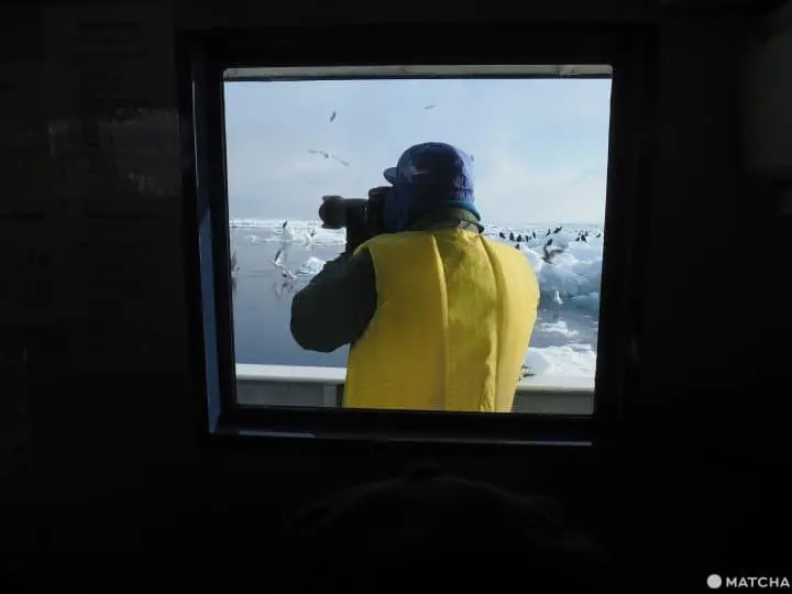 【北海道 羅臼】老鷹、流冰與初升的太陽，知床半島的冰與火之歌！