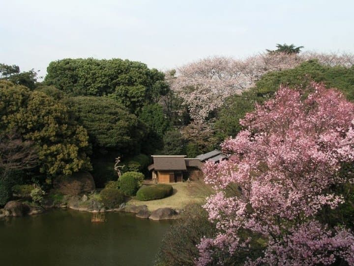 東京國立博物館