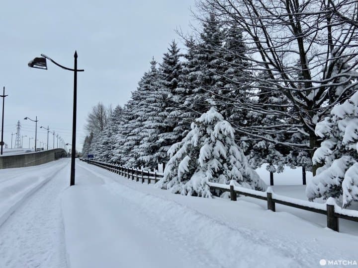 札幌啤酒庭園,賞雪景!喝啤酒!