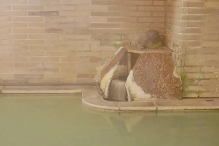 日光ASTRAEA飯店溫泉