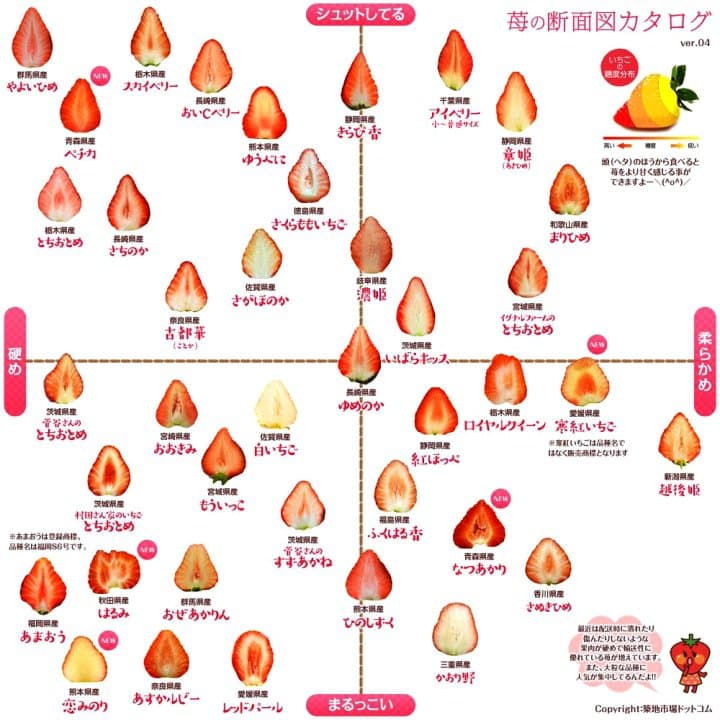 日本草莓