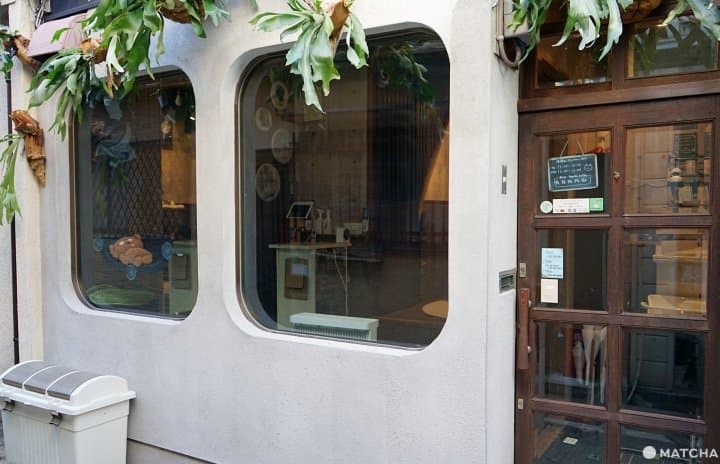 cat cafe neu osaka