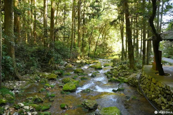 【山口】日本最大の鍾乳洞・秋芳洞の見どころとアクセス