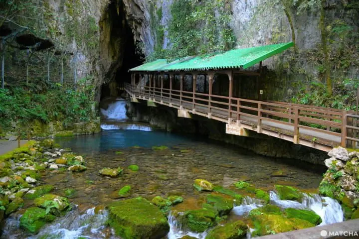 【山口】日本最大の鍾乳洞・秋芳洞の見どころとアクセス