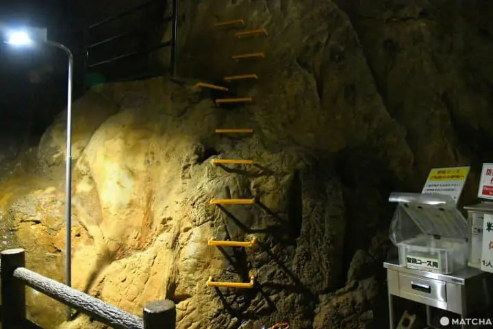 【山口】日本最大の鍾乳洞・秋芳洞の見どころとアクセス