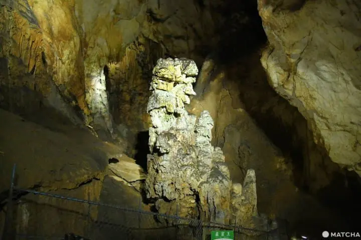 【山口】日本最大の鍾乳洞・秋芳洞の見どころとアクセス